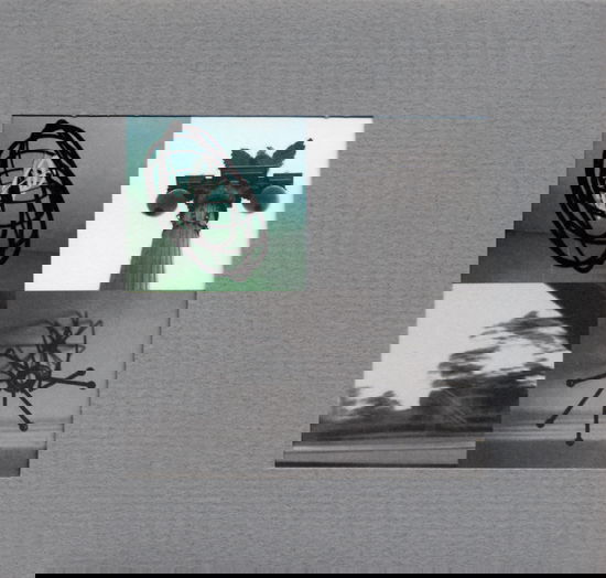 Grey - Sofa - Musique - CONSTELLATION - 0666561000226 - 22 février 1999