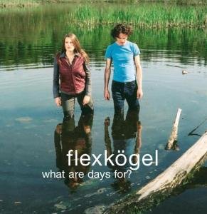 Cover for Flexkoegel · What Aredays For? (CD) (2004)