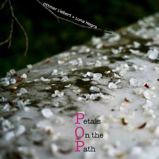 Petals On The Path - Ottmar Liebert - Music - SPIRAL SUBWAVE - 0751937385226 - July 1, 2010