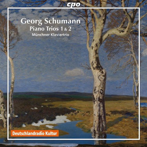 Cover for Schumann / Klaviertrio · Piano Trios 1 &amp; 2 (CD) (2011)