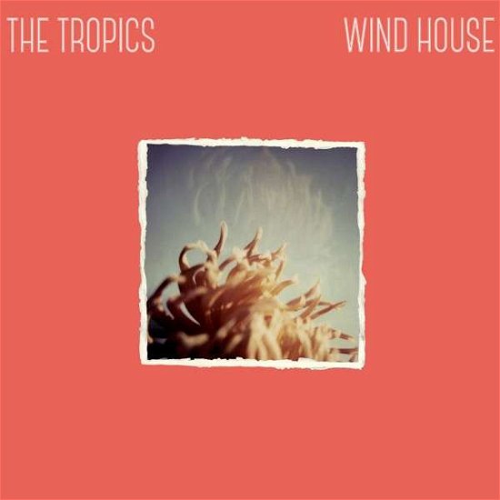 Cover for Tropics · Wind House (CD) (2014)