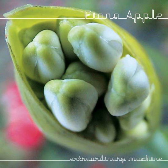 Extraordinary Machine - Fiona Apple - Musiikki - Sony - 0886919823226 - tiistai 4. lokakuuta 2005