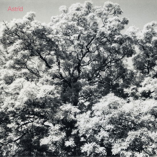 Cover for Astrid · Always Digging The Same Hole (CD) (2024)