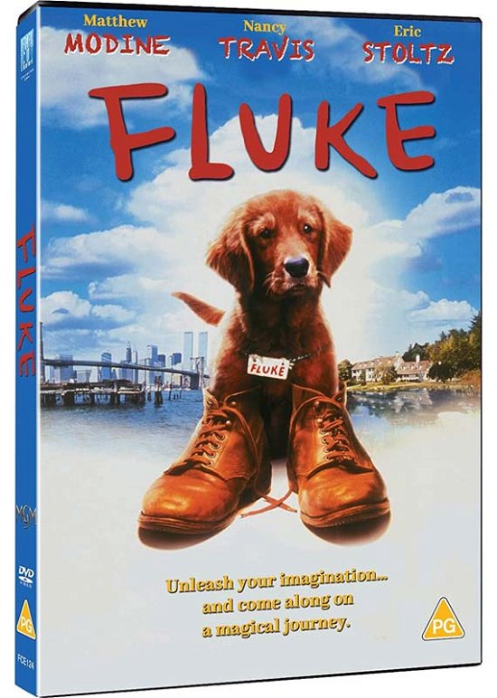 Cover for Fluke (DVD) (2022)