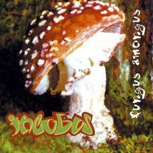 Cover for Incubus · Fungus Amongus (CD) (2004)