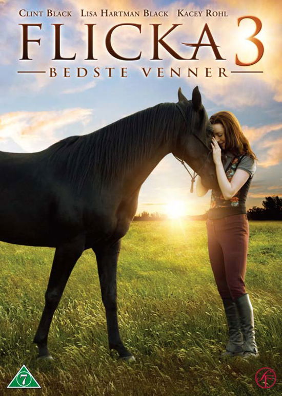 Cover for Flicka 3 (DVD) (2012)