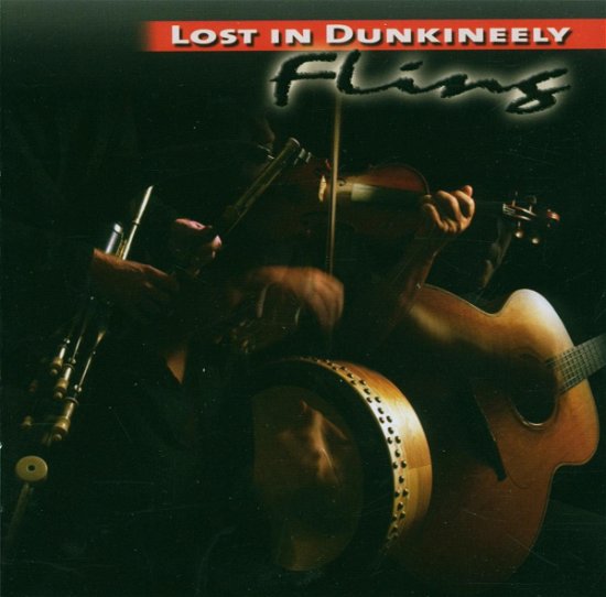 Cover for Fling · Lost In Dunkineely (CD) (2006)