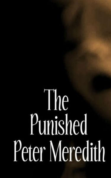 Cover for Peter L Meredith · The Punished (Paperback Book) (2013)