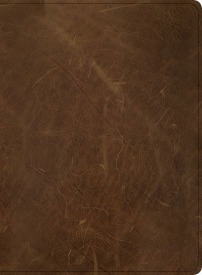 Cover for CSB Bibles by Holman · CSB Men of Character Bible, Brown Genuine Leather, Indexed (Leather Book) (2021)