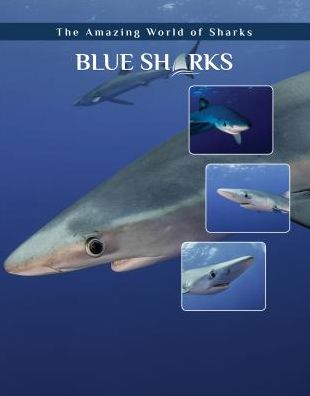 Cover for Elizabeth Roseborough · Blue Sharks - Amazing World of Sharks (Hardcover Book) (2018)