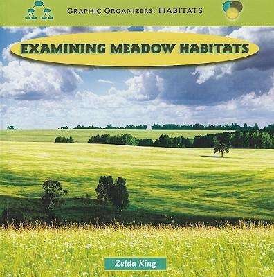 Cover for Zelda King · Examining Meadow Habitats (Pocketbok) (2009)