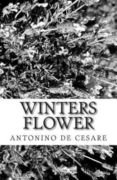 Cover for Antonino De Cesare · Winters flower (Paperback Book) (2014)