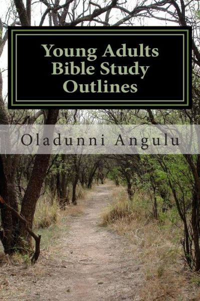 Cover for Oladunni O Angulu · Young Adults Bible Study Outlines (Paperback Book) (2014)