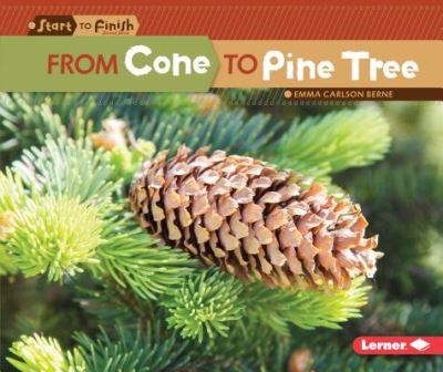 Cover for Emma Carlson Berne · From Cone to Pine Tree (Paperback Book) (2017)