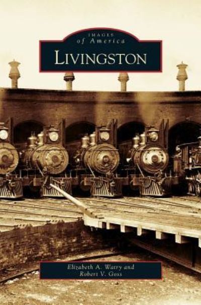 Livingston - Elizabeth A Watry - Kirjat - Arcadia Publishing Library Editions - 9781531646226 - keskiviikko 5. elokuuta 2009