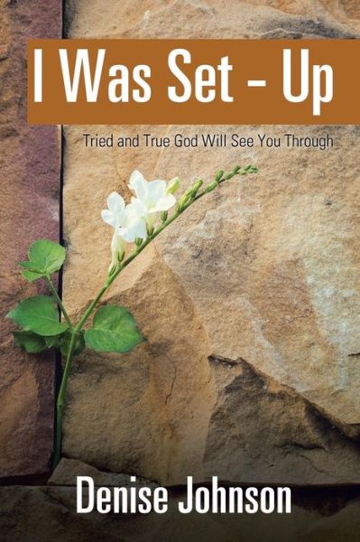 Cover for Denise Johnson · I Was Set - Up (Paperback Book) (2017)