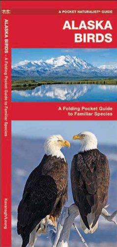 Cover for James Kavanagh · Alaska Birds: a Folding Pocket Guide to Familiar Species (Pocket Naturalist Guide Series) (Pamphlet) [1st edition] (2017)