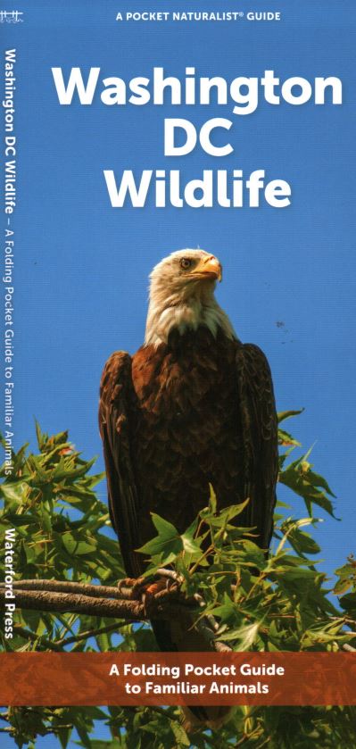 Cover for Waterford Press · Washington DC Wildlife: A Folding Pocket Guide to Familiar Animals (Pamphlet) (2023)