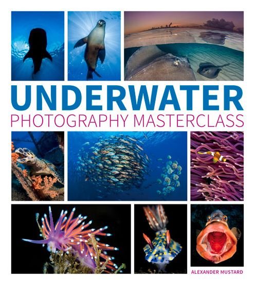 Cover for A Mustard · Underwater Photography Masterclass (Paperback Bog) (2016)