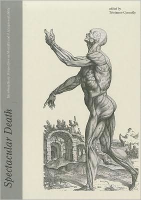 Cover for Spectacular Death: Interdisciplinary Perspectives on Mortality and (Un)representability - Culture, Disease, and Well-Being: The Grey Zone of Health and Illness (Hardcover Book) [New edition] (2011)