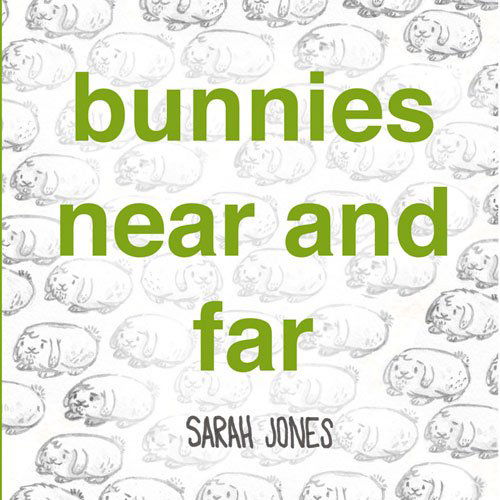 Cover for Sarah Jones · Bunnies Near and Far (Board book) [Brdbk edition] (2014)