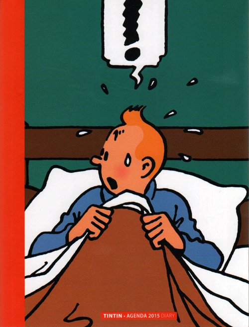 Tintin Agenda 2015 Diary - Hergé - Books - Moulinsart - 9782874243226 - September 1, 2015