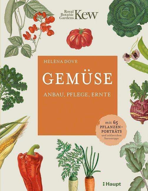 Gemüse - Dove - Libros -  - 9783258082226 - 