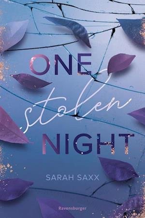 Cover for Sarah Saxx · One Stolen Night (Knisternde New-Adult-Romance) (Toys)