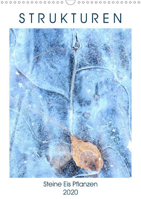 Cover for Baier · Strukturen - Steine, Eis, Pflanze (Bog)