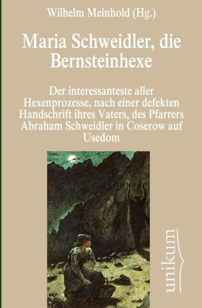 Cover for Wilhelm Meinhold · Maria Schweidler, die Bernsteinhexe (Paperback Book) (2012)