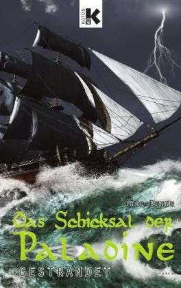 Cover for Benne · Das Schicksal der Paladine,Gestr (Book)
