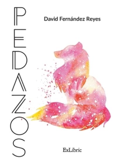 Cover for David Fernández Reyes · Pedazos (Paperback Book) (2021)