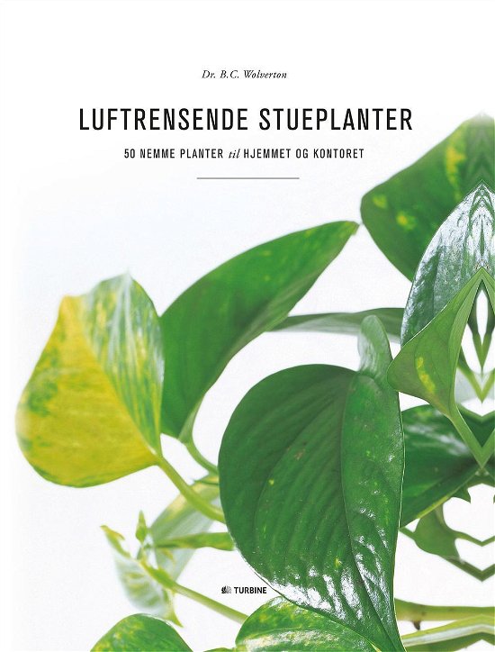 Cover for B. C. Wolverton · Luftrensende stueplanter (Hardcover bog) [1. udgave] (2017)