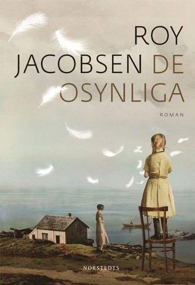 Cover for Roy Jacobsen · Ingrid Barröy: De osynliga (ePUB) (2015)