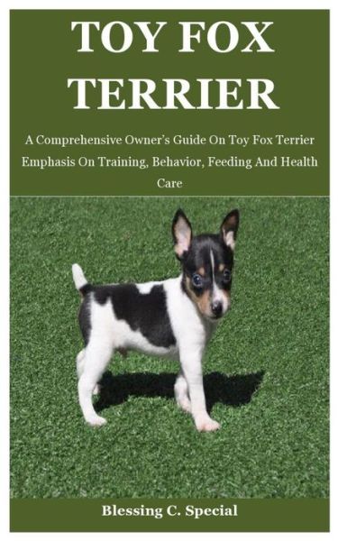 Cover for Blessing C Special · Toy Fox Terrier: A Comprehensive Owner's Guide On Toy Fox Terrier Emphasis On Training, Behavior, Feeding And Health Care (Paperback Book) (2021)