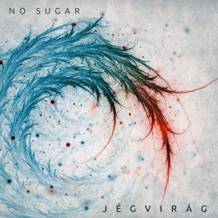 Cover for No Sugar · Jégvirág (CD)