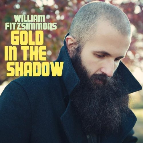 Gold in the Shadow - William Fitzsimmons - Musikk - FOLK - 0067003092227 - 22. mars 2011