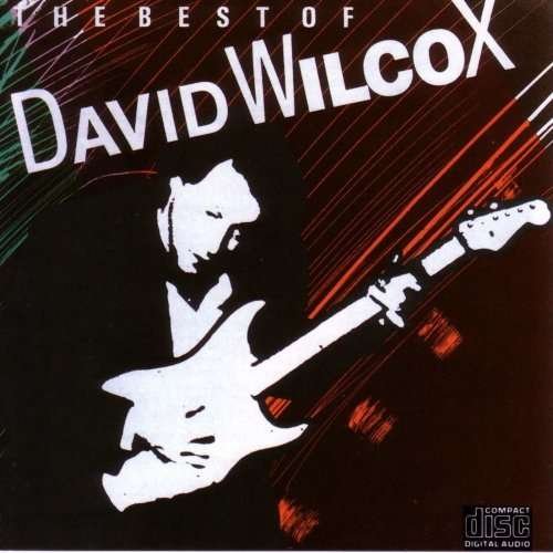 Cover for David Wilcox · Best Of (CD) (1990)