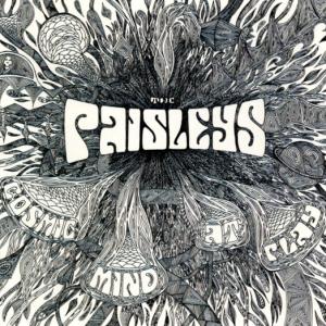 Cover for Paisleys · Cosmic Mind at Play (CD) (2003)