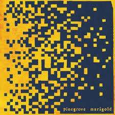 Cover for Pinegrove · Marigold (CD) (2020)