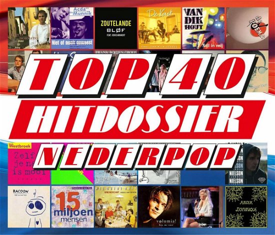 Cover for Top 40 Hitdossier · Nederpop (CD)