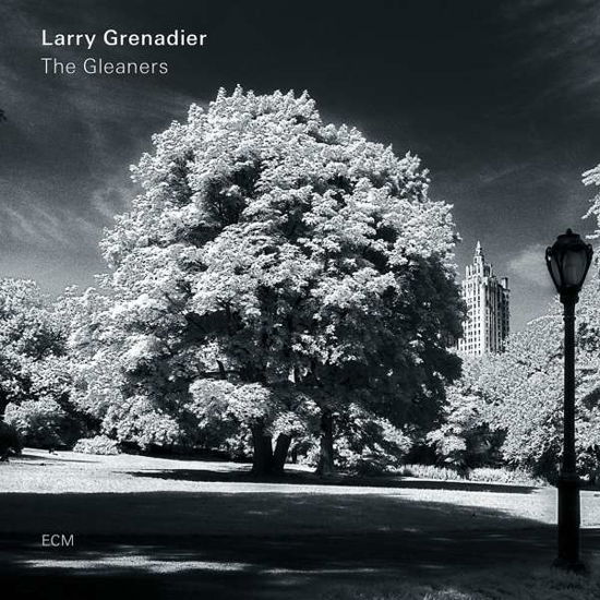 The Gleaners - Larry Grenadier - Music - JAZZ - 0602577064227 - March 8, 2019