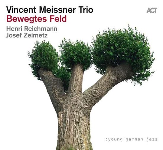Vincent Meissner Trio · Bewegtes Feld (CD) (2021)