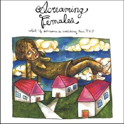 Cover for Screaming Females · What If Someone Is Watching Their T.V.? (CD) (2015)
