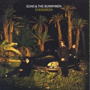 Evergreen - Echo & the Bunnymen - Musik - LONDON - 0639842964227 - 23. september 1999