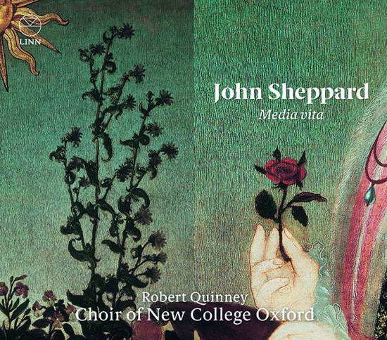 Cover for Choir Of New College Oxford / Robert Quinney · John Sheppard: Media Vita (CD) (2020)
