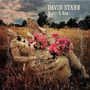 Cover for David Starr · Beauty &amp; Ruin (LP) (2020)