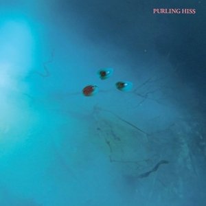 Purling Hiss · High Bias (CD) (2016)