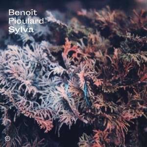 Sylva - Benoit Pioulard - Music - MORR MUSIC - 0880918816227 - November 15, 2019