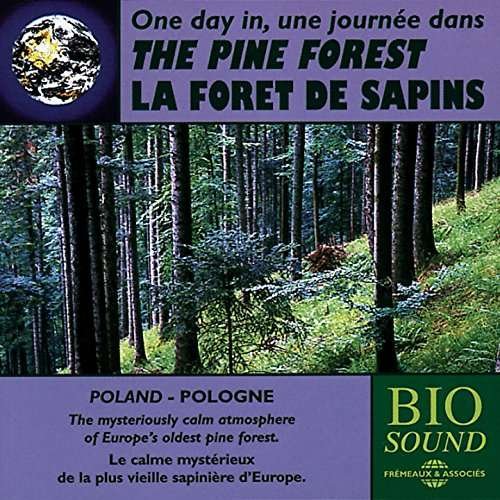 Cover for Sounds of Nature · Pine Forest (CD) (2003)